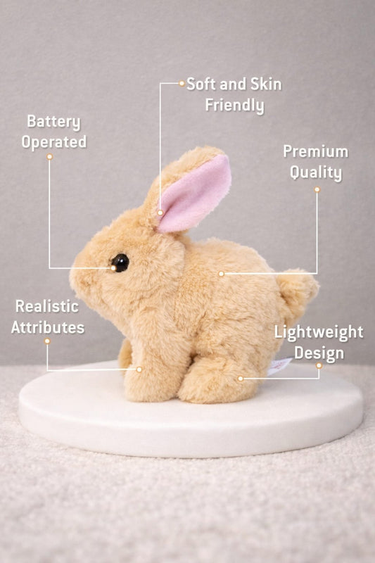 Sweet Hop Walking Bunny🐇